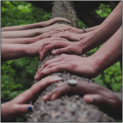 hands on log
