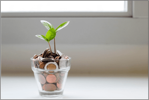 plant in pot with coins