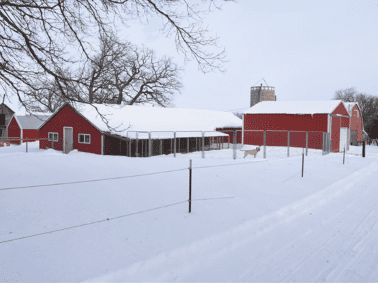 The Braegelmann’s farm