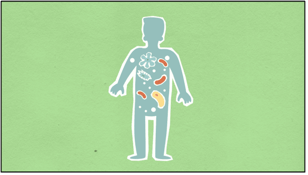 image of a body with organs etc.