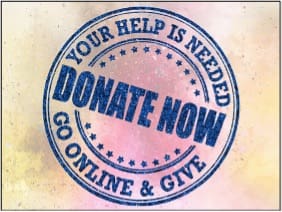 donate button