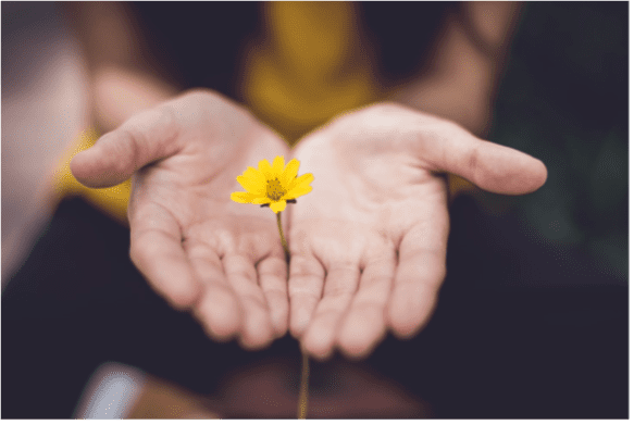 hands holding yellow flower